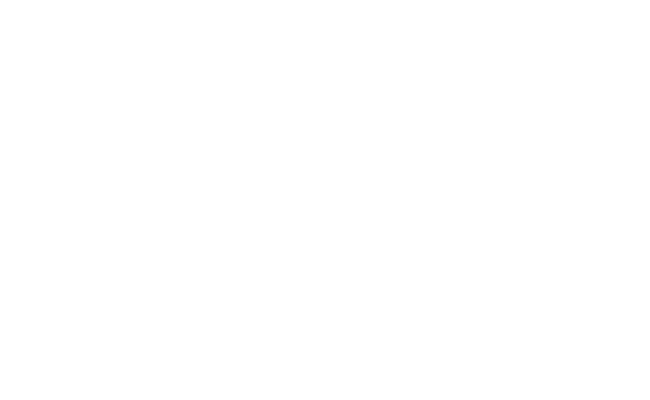 airwheel