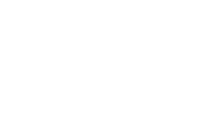 profilpas