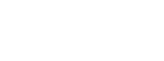 LM-Medical-Division-logo-portfolio