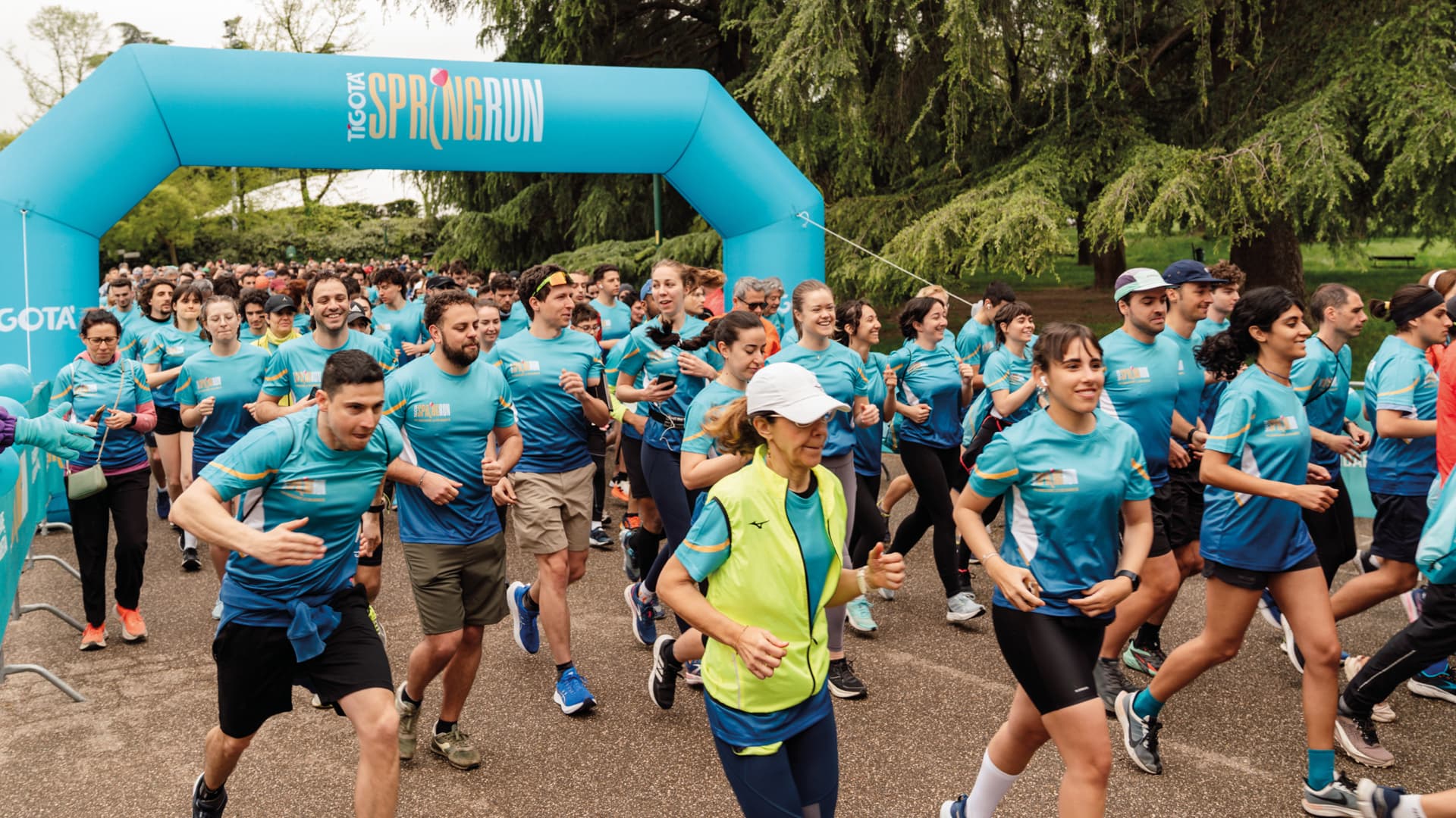 Say_Template-Portfolio-Tigota-2-1